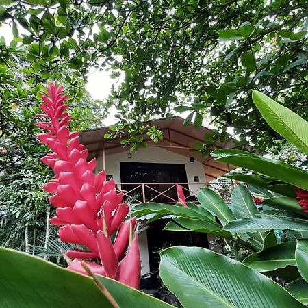 カウイータCasa Martinaアパートメント エクステリア 写真